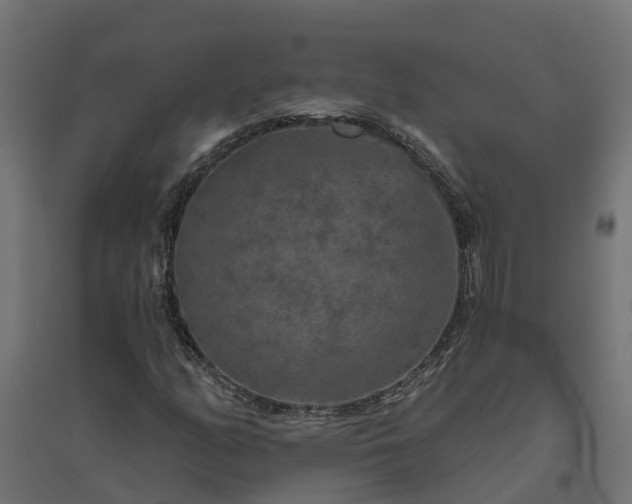 X0000094791158200711241355