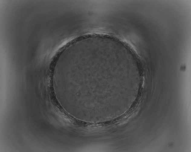 X0000094791159200711241355