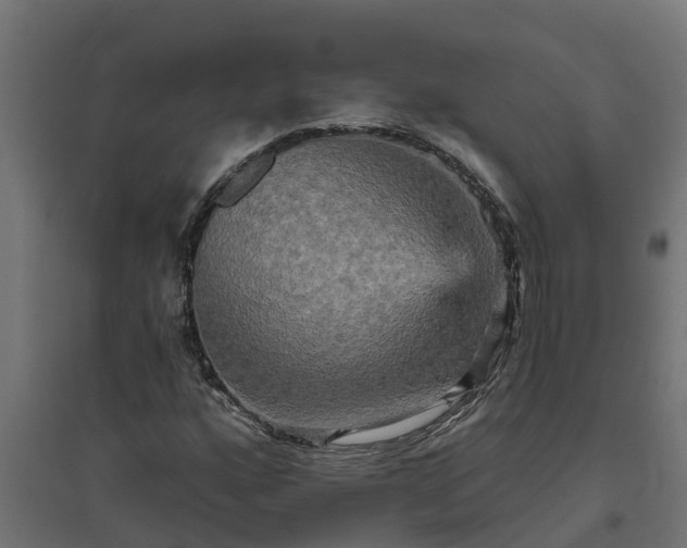 X0000094791160200711241355