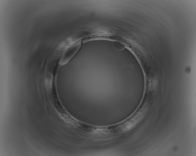 X0000094791161200711241355