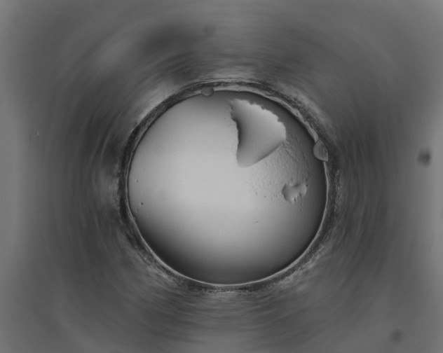 X0000094791162200711241355