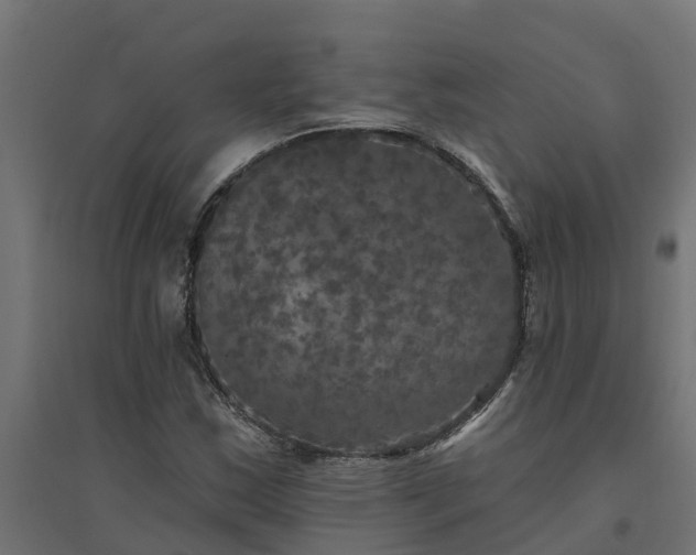 X0000094791163200711241355