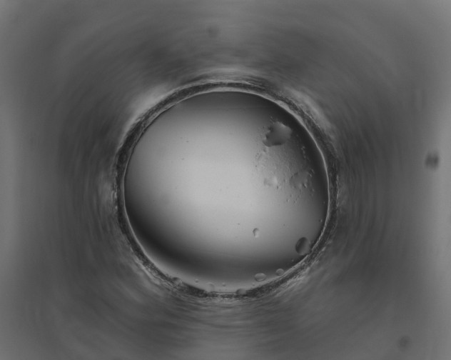 X0000094791164200711241355