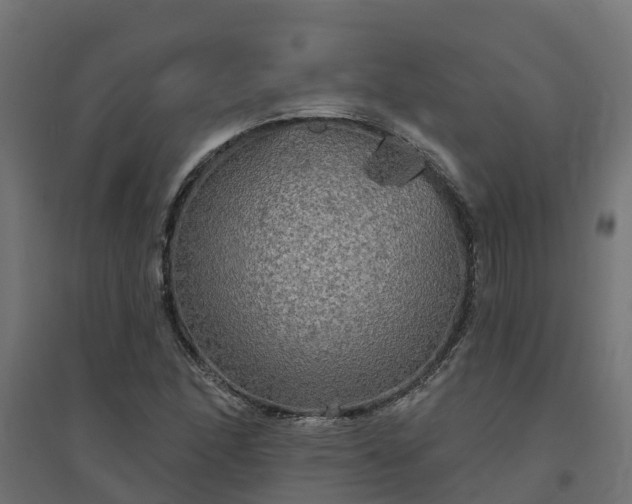 X0000094791166200711241355