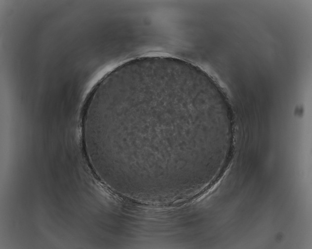 X0000094791167200711241355