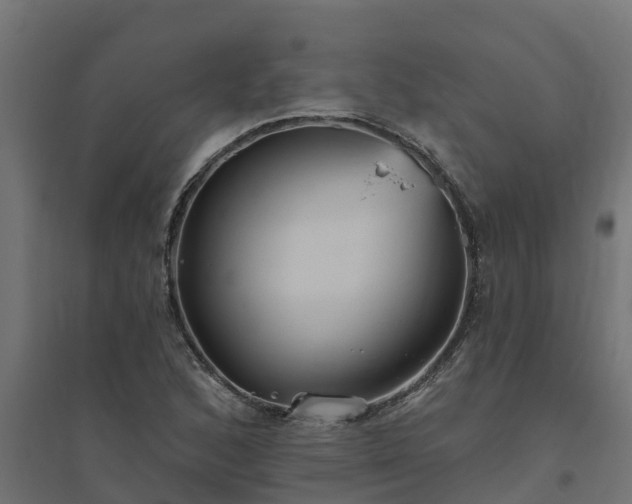 X0000094791168200711241355