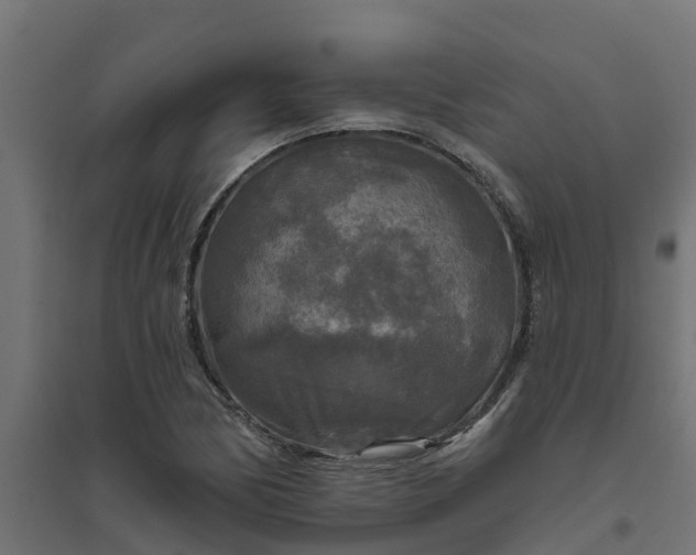 X0000094791170200711241355