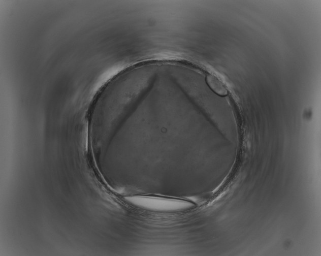 X0000094791171200711241355