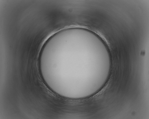 X0000094791173200711241355