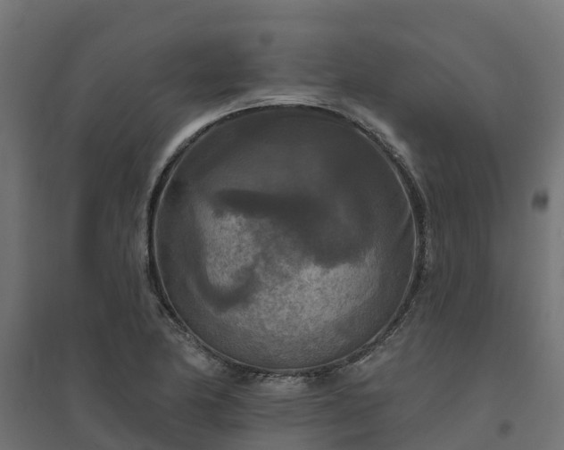 X0000094791174200711241355