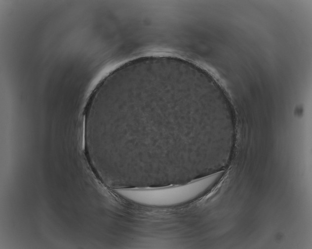 X0000094791175200711241355