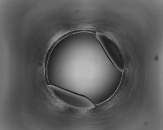 X0000094791176200711241355