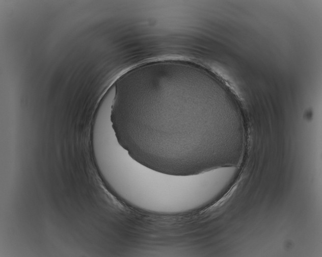 X0000094791177200711241355