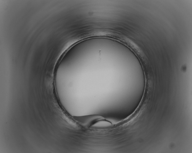 X0000094791178200711241355