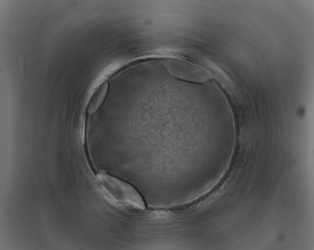 X0000094791180200711241355