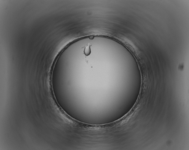 X0000094791182200711241355