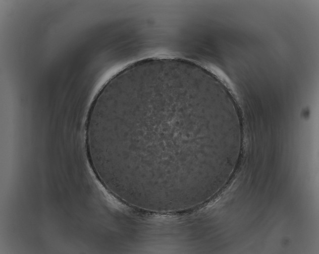 X0000094791183200711241355