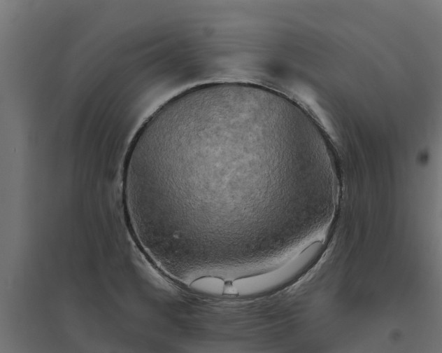 X0000094791184200711241355