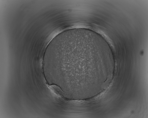 X0000094791185200711241355