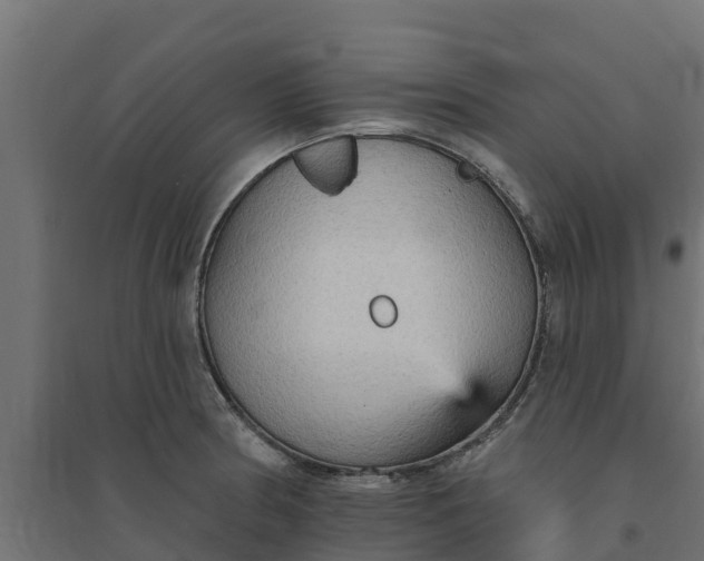 X0000094791186200711241354