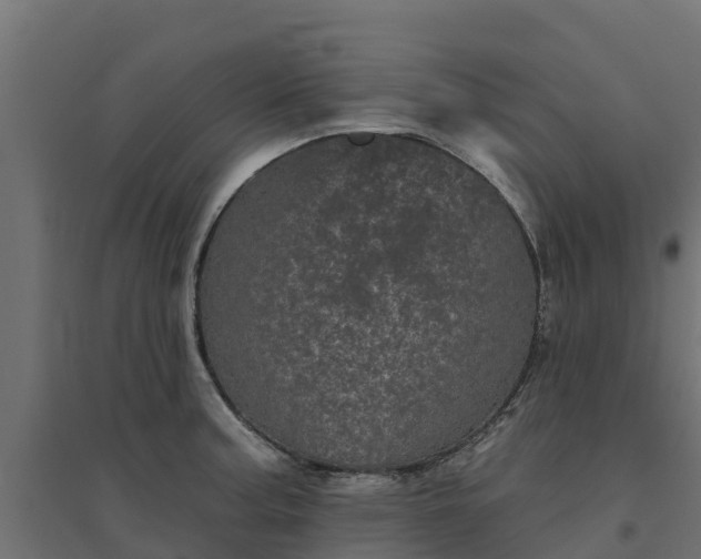 X0000094791187200711241354