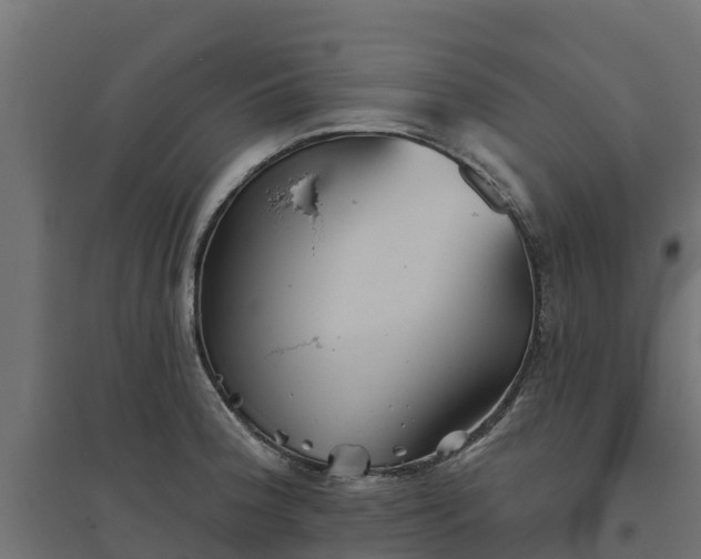 X0000094791188200711241354