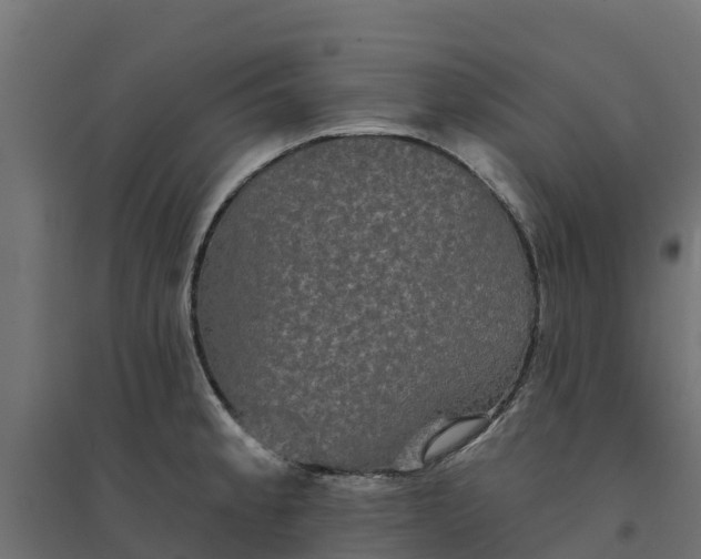 X0000094791189200711241354