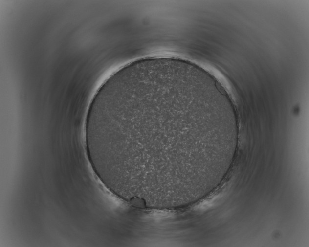 X0000094791191200711241354