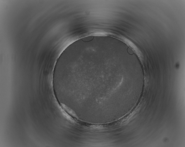 X0000094791194200711241354