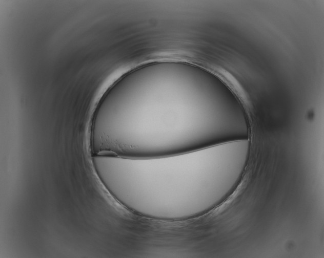 X0000094791196200711241354