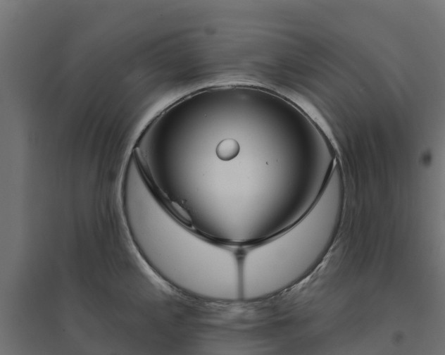 X0000094791197200711241354