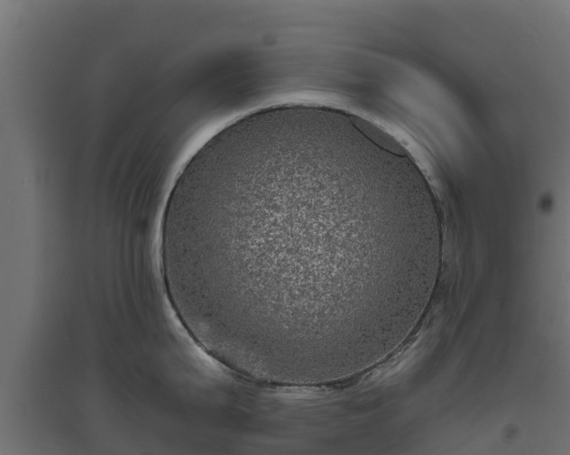 X0000094791199200711241354