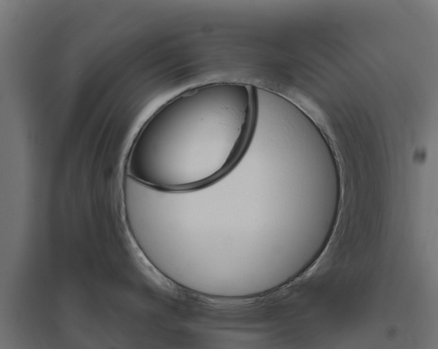 X0000094791200200711241354