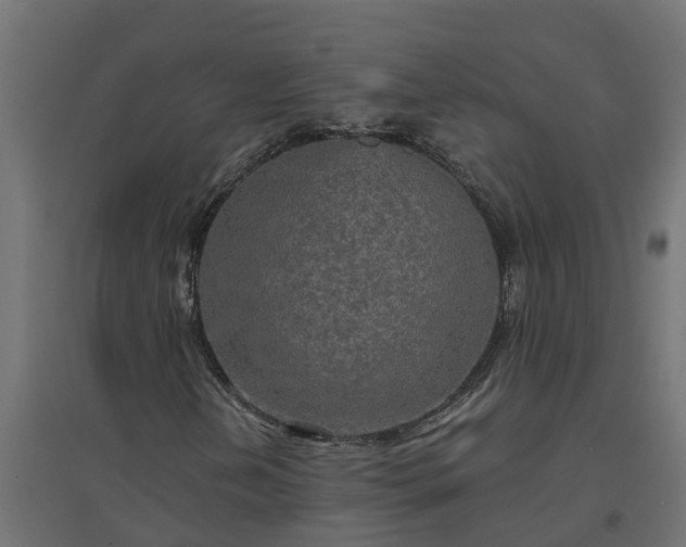 X0000094791202200711241353