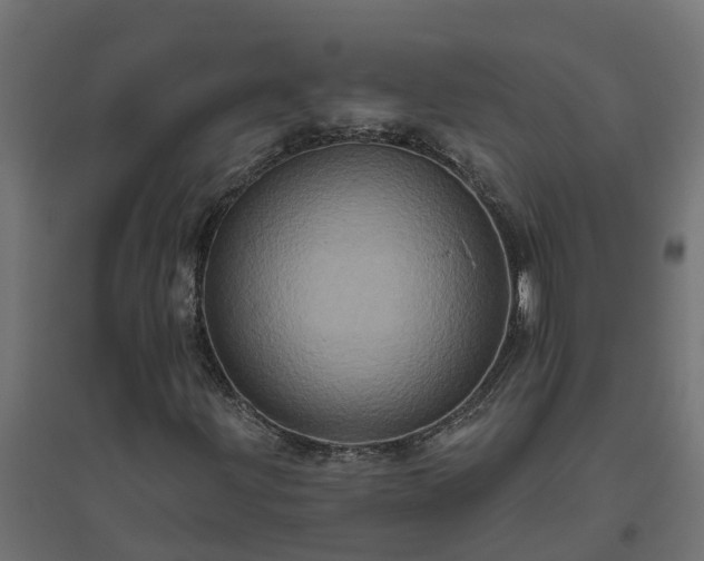 X0000094791203200711241353