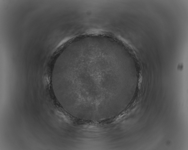 X0000094791206200711241354