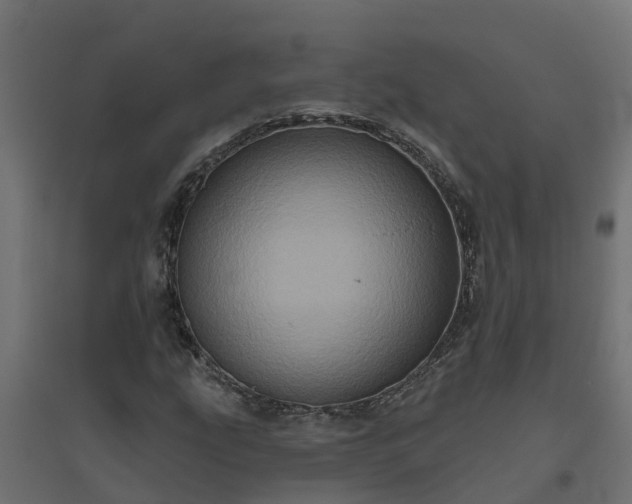 X0000094791207200711241354