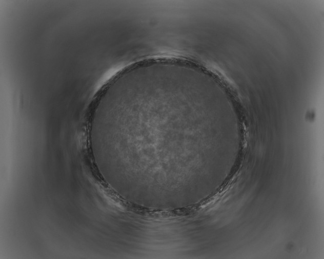 X0000094791208200711241354