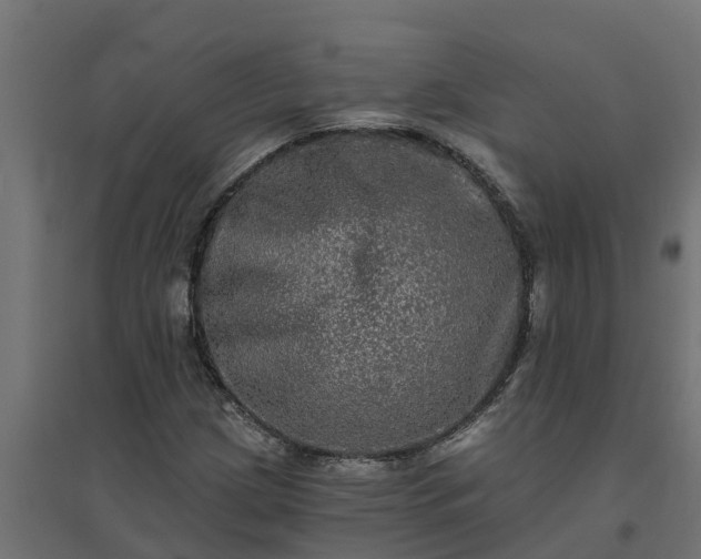 X0000094791209200711241354