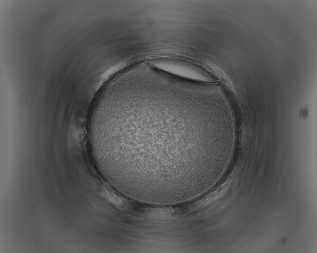 X0000094791210200711241354