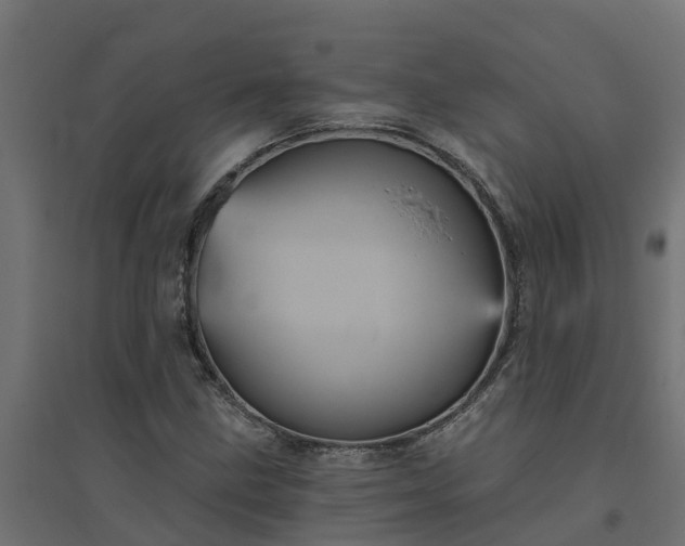 X0000094791211200711241354