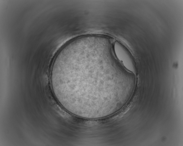 X0000094791212200711241354