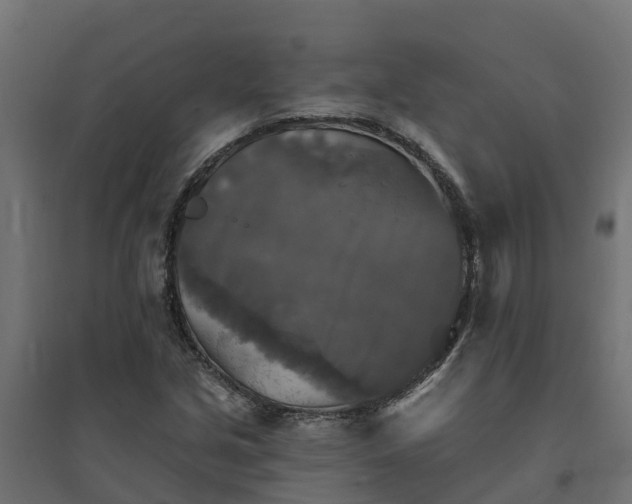 X0000094791213200711241354