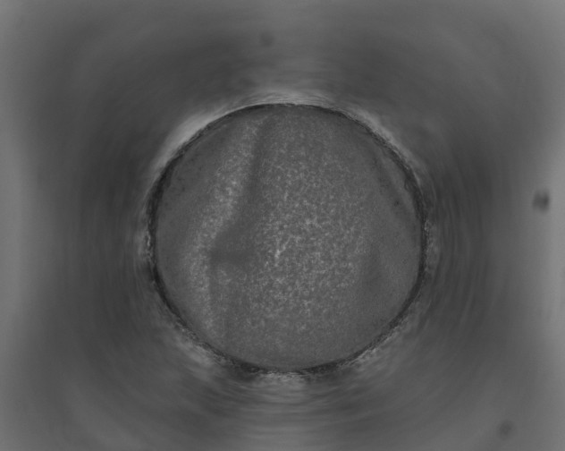 X0000094791215200711241354