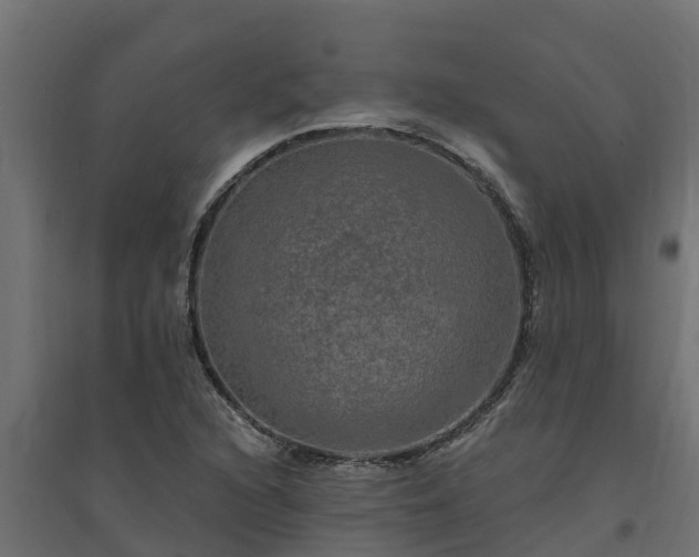 X0000094791216200711241354