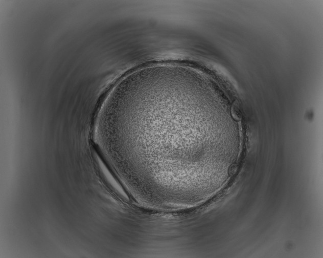 X0000094791217200711241354