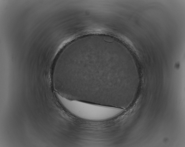 X0000094791218200711241354