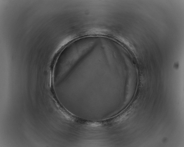 X0000094791219200711241354