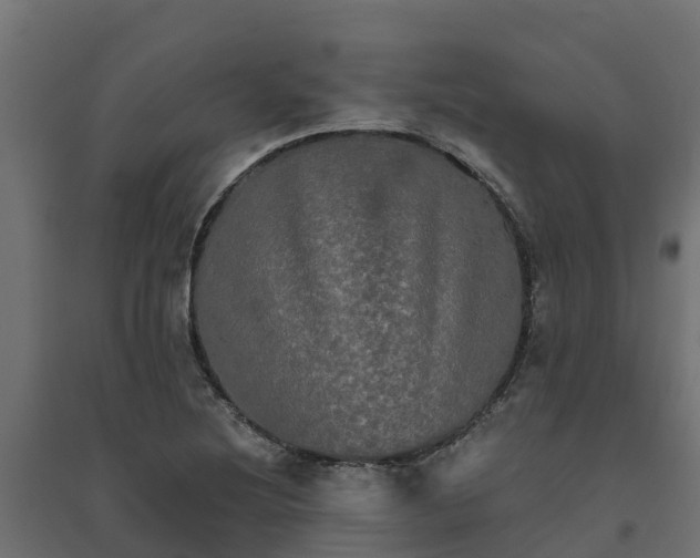 X0000094791220200711241354