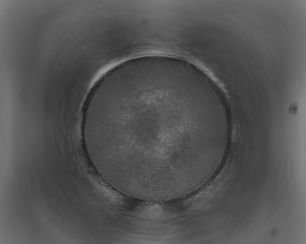 X0000094791222200711241354